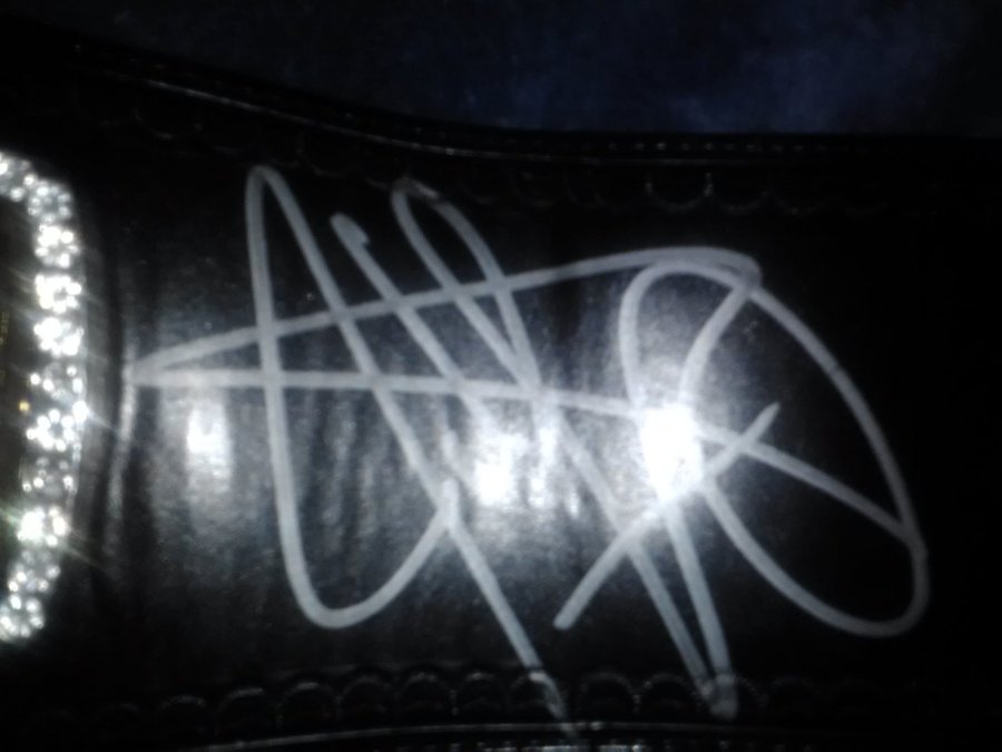 What's a WWE championship belt signed by john cena Worth? Picture