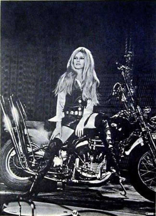 What's 'Bridgett Bardot on Panhead Harley Davidson' Worth? Picture