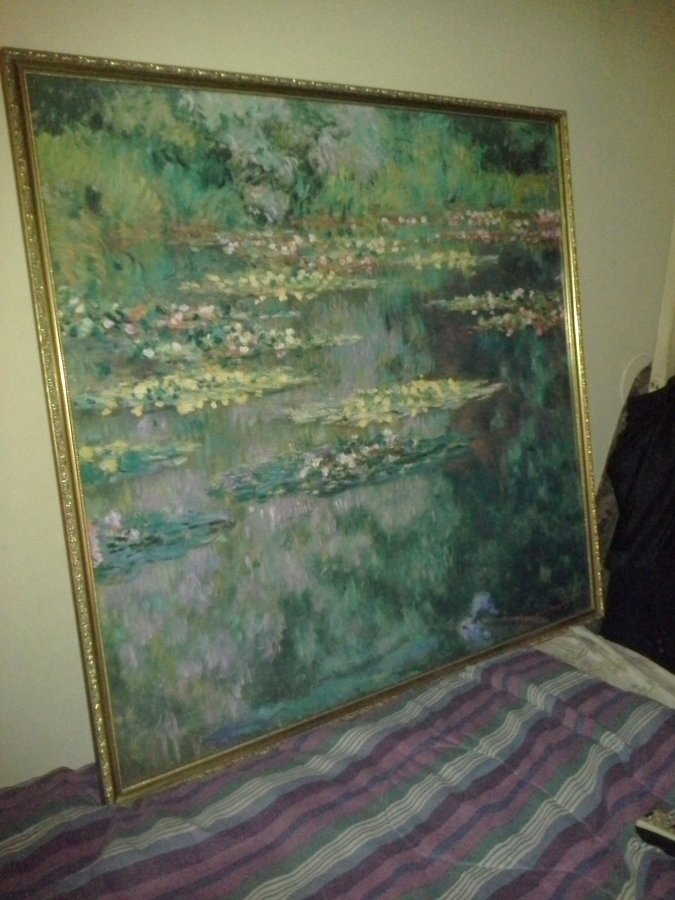 Water Lilies want Antiques