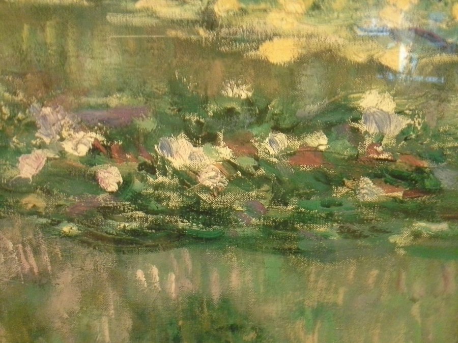 Water Lilies Picture