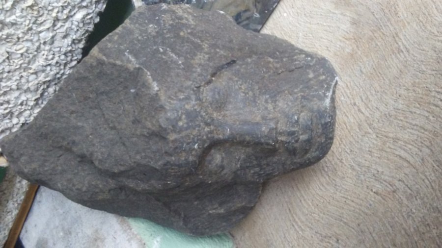 artifacts stone head Picture 1