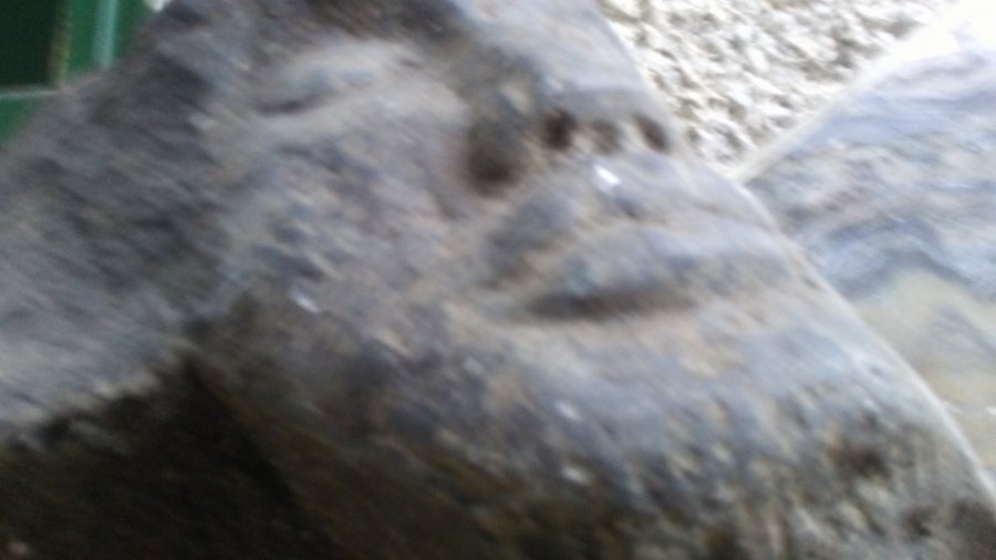 artifacts stone head Picture 3